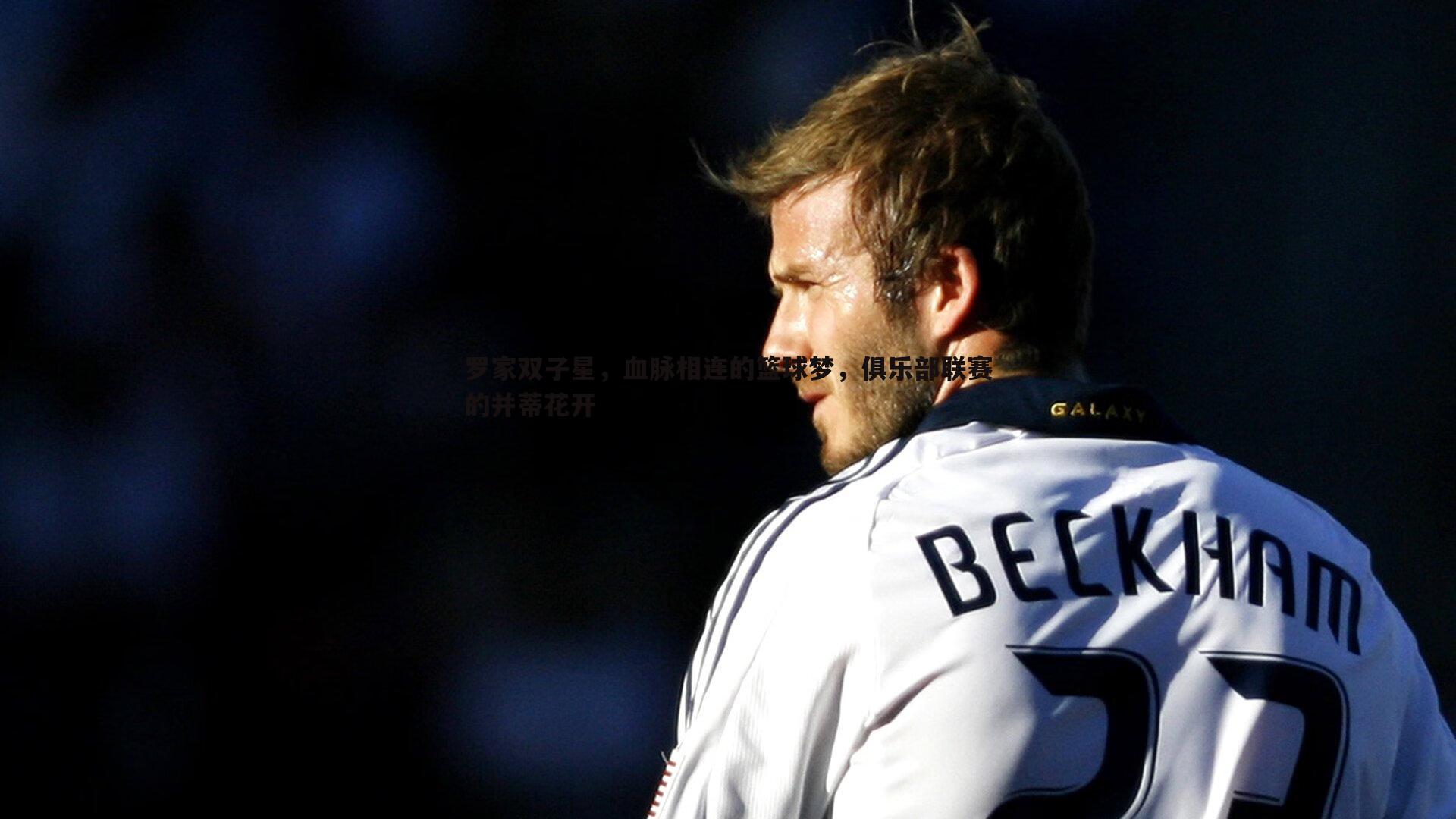 罗家双子星，血脉相连的篮球梦，俱乐部联赛的并蒂花开